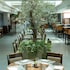 رزرو هتل Millennium Hotel Doha دوحه