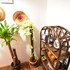 رزرو هتل Nego Home Ancient Hotel بانکوک